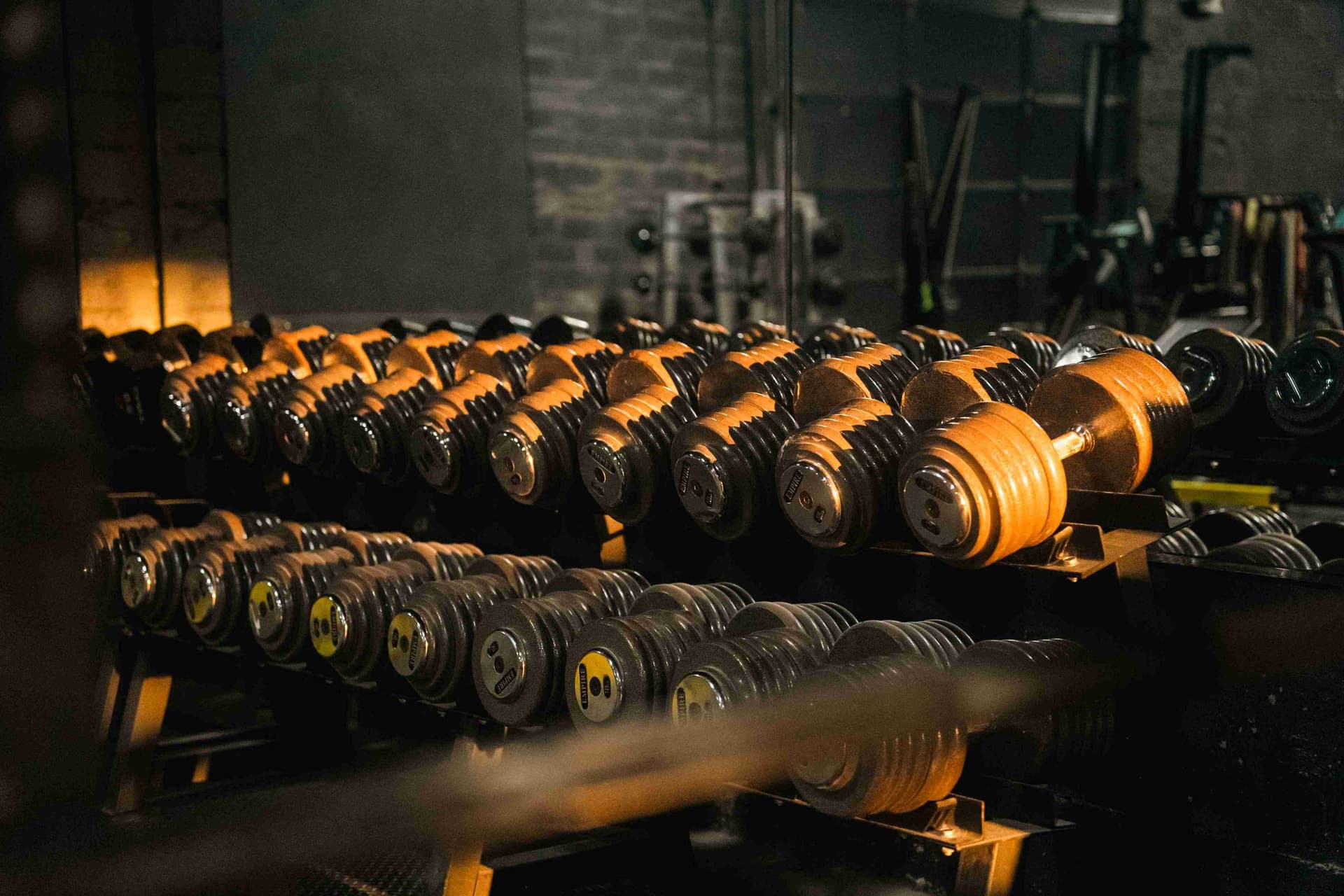 Dumbbell rack at Indy City Barbell gym in Indianapolis